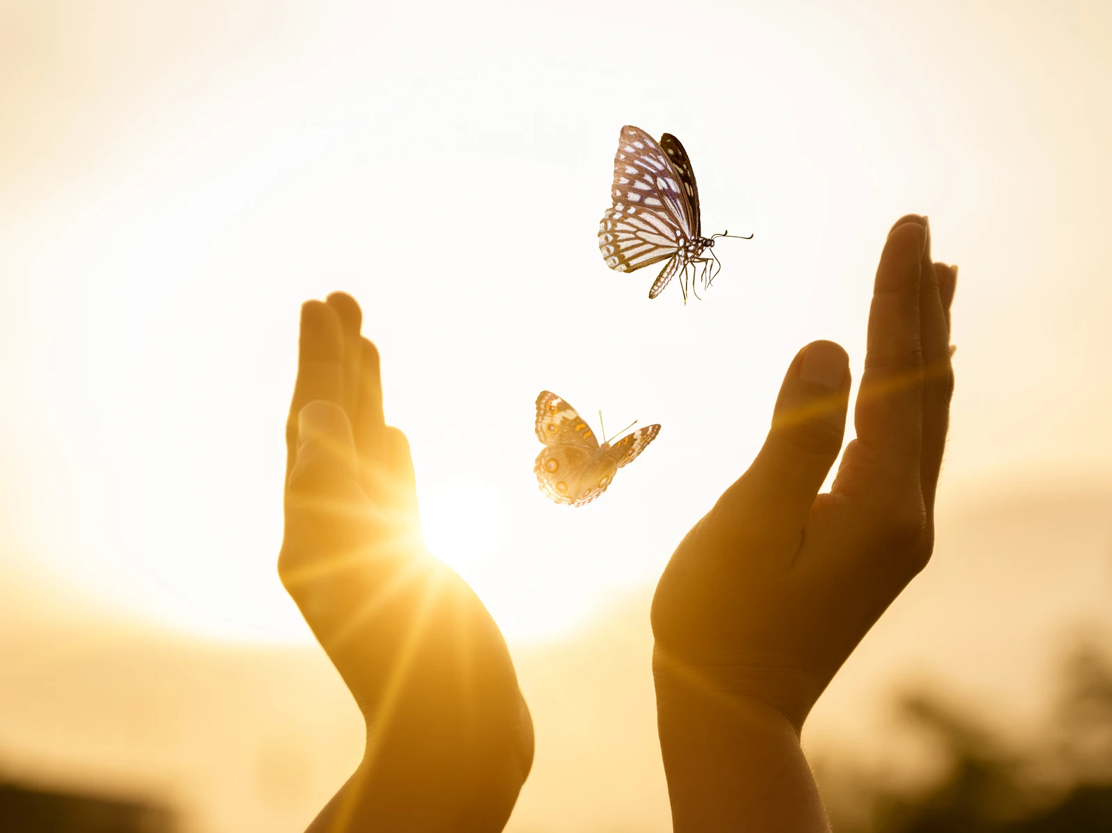 Feminine Wisdom Keepers