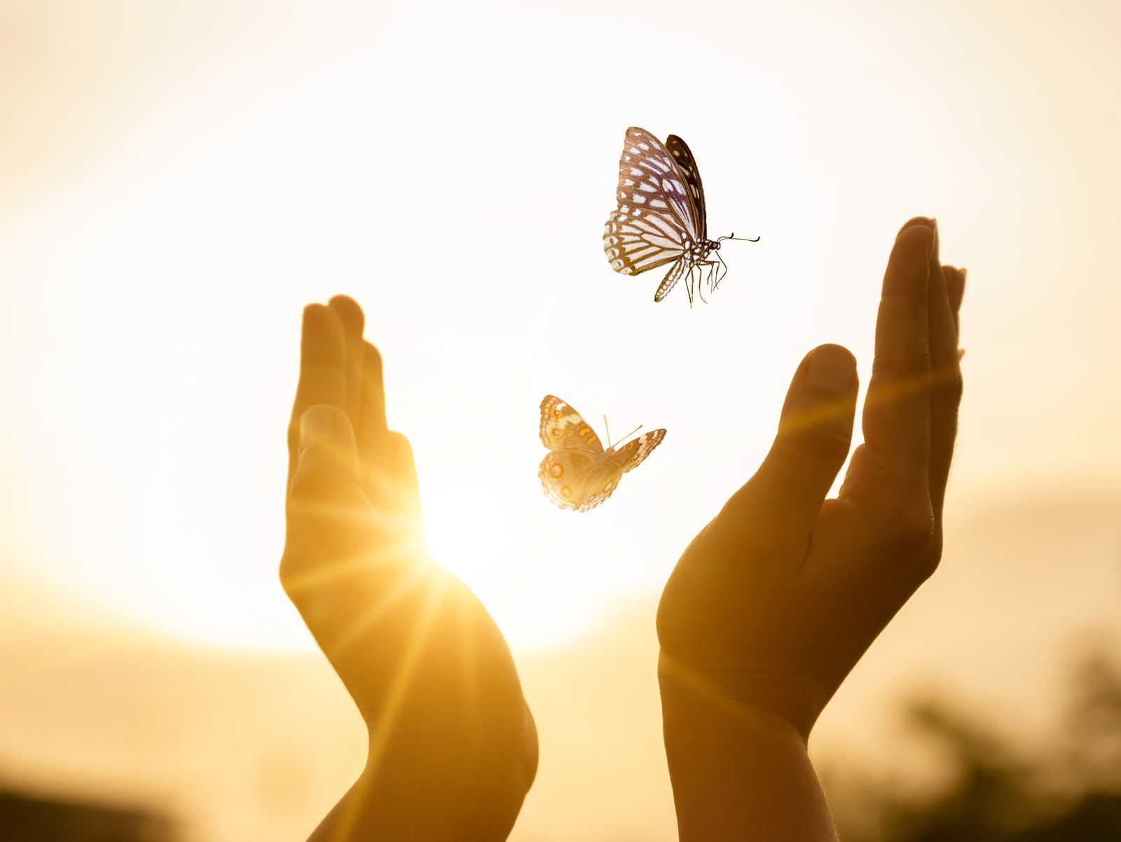 Feminine Wisdom Keepers