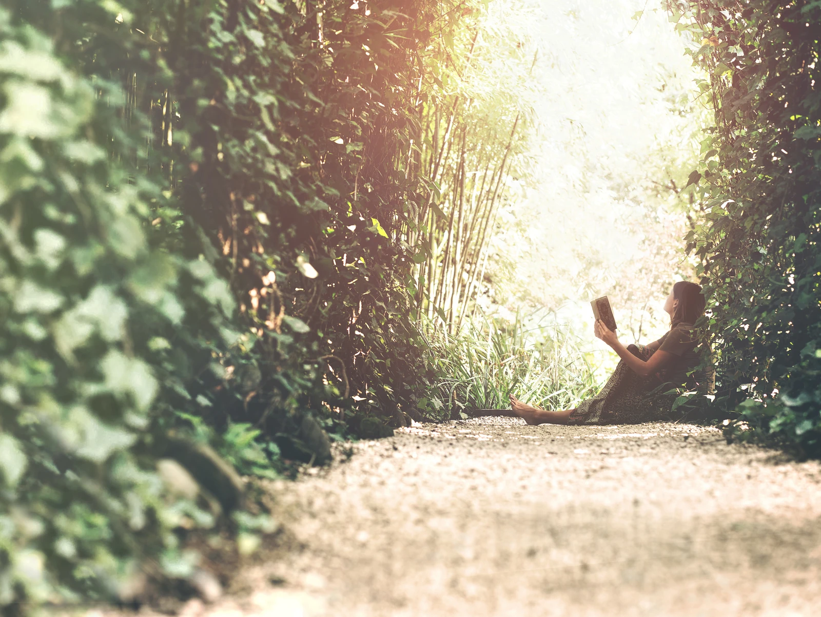 Gardening Your Mind